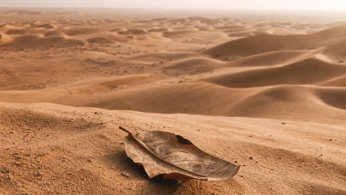 Plus grand désert chaud du monde : le Sahara et ses secrets